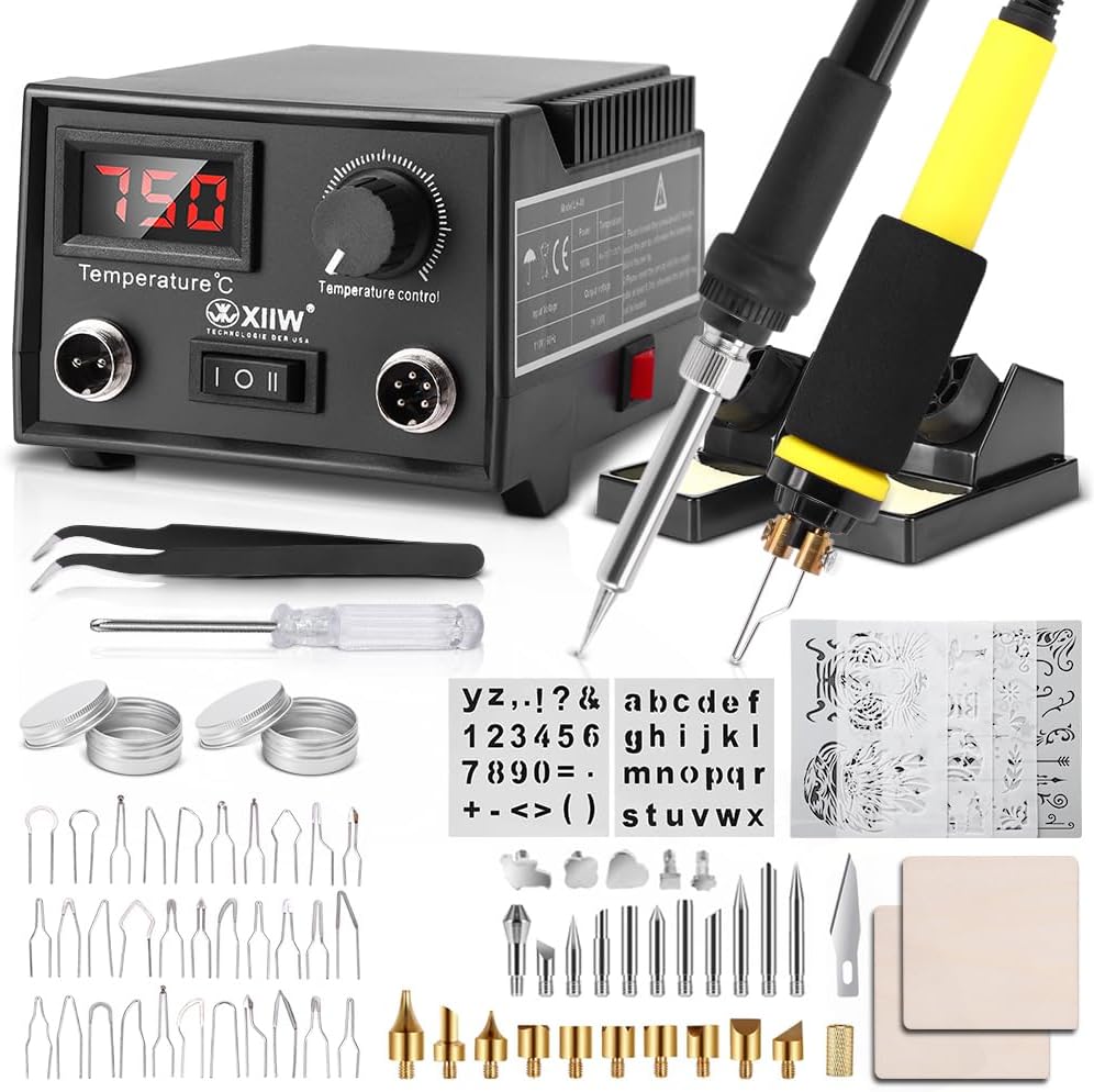 2 IN 1 Wood Burning Kit 100W with 2 Wood Burning Pens, 78 Pcs Pyrography Wood Burning Kit with 33 Wire Nibs and 26 Solid Points, Temperature Adjustment 300~750°C, Wood Burner for wood and leather