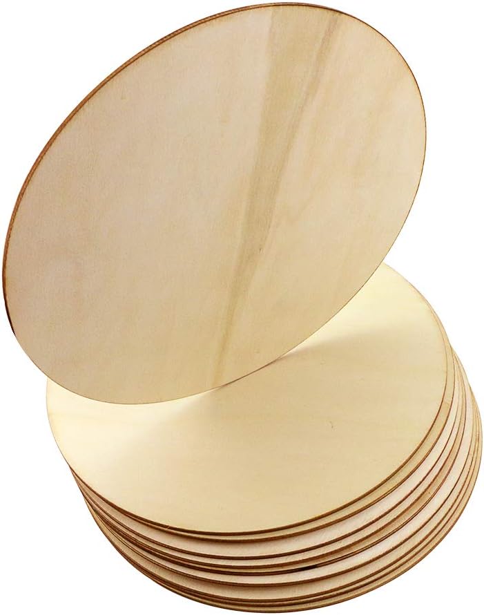 10 Pack 8 Inch Unfinished Natural Wood Round Circle for DIY Crafts,Pyrography,Painting,Engraving,Home Decoration