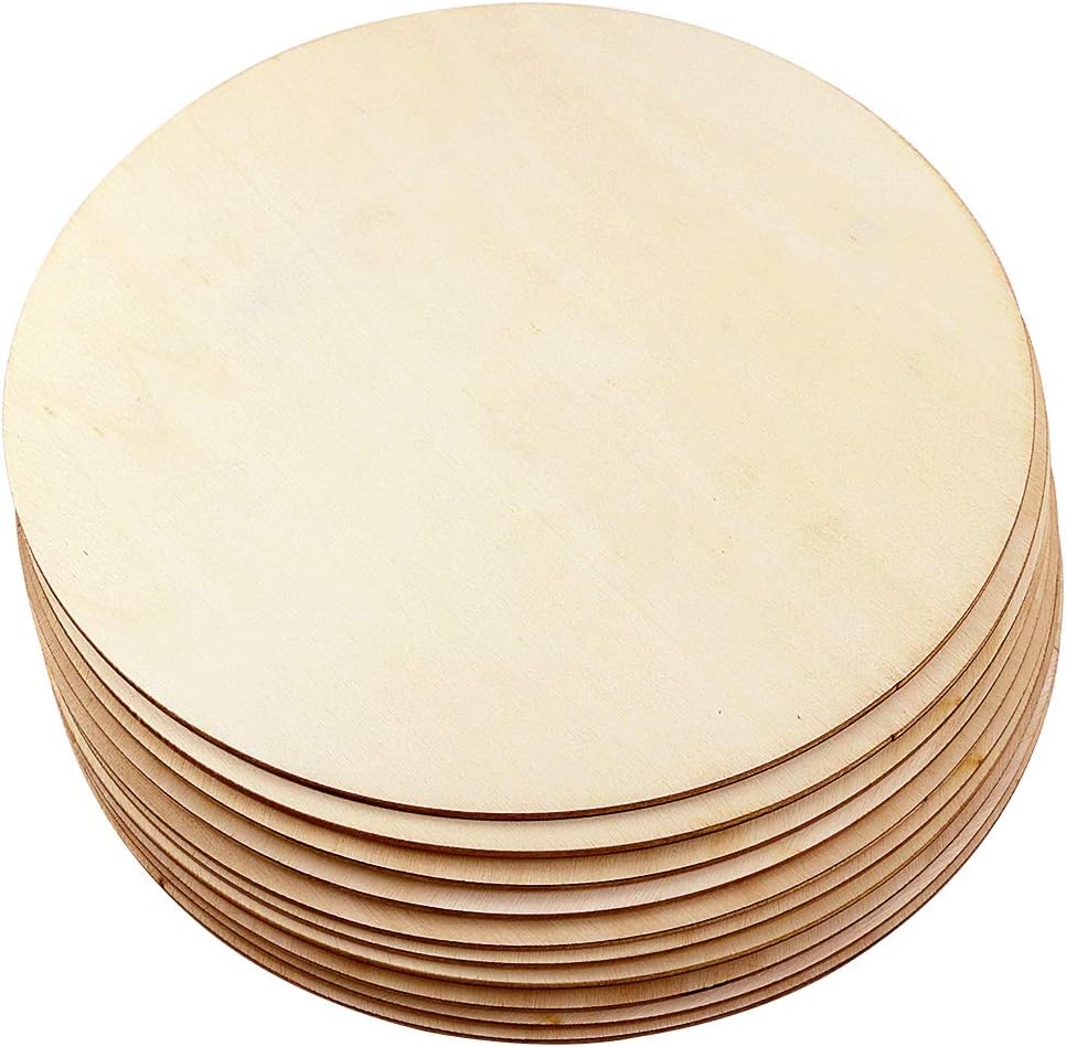 10 Pack 8 Inch Unfinished Natural Wood Round Circle for DIY Crafts,Pyrography,Painting,Engraving,Home Decoration