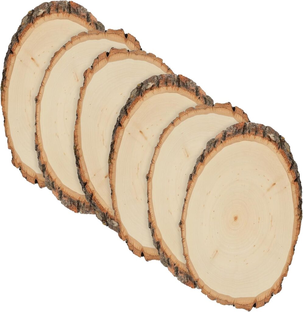 Walnut Hollow Basswood Round, Small 5-7 Wide with Live Edge Wood (Pack of 6) - for Wood Burning, Home Décor, and Rustic Weddings