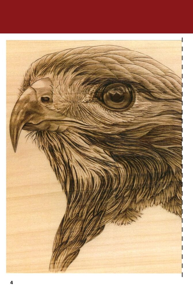 Pyrography Workshop with Sue Walters: Hawk Portrait Step-by-Step Woodburning Tutorial and Beginners Guide (Fox Chapel Publishing) 2-DVD Set with 16-Page Booklet, Patterns, and Reference Photography     Paperback – Color, September 1, 2009